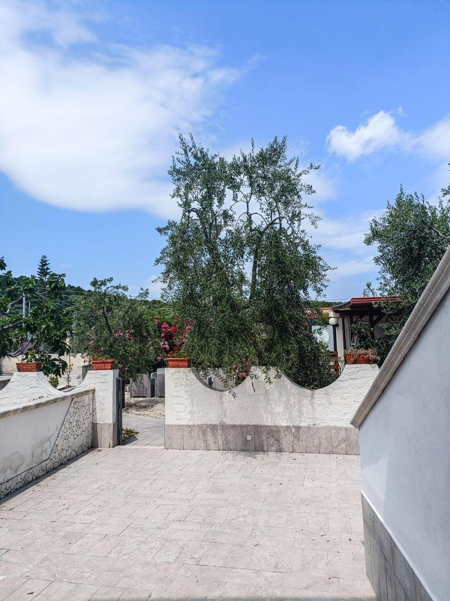 Il Giunco B&B Вьесте Экстерьер фото