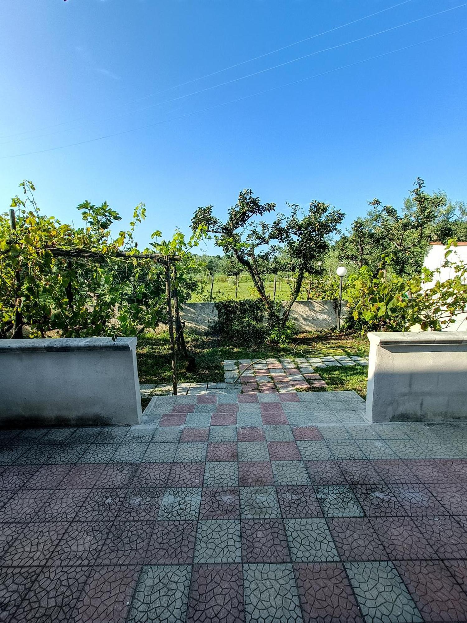Il Giunco B&B Вьесте Номер фото