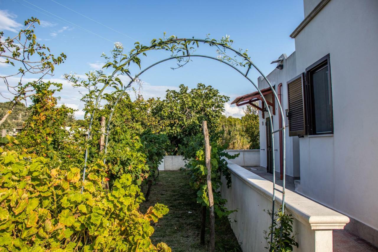 Il Giunco B&B Вьесте Экстерьер фото